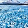 Frozen bubbles in the Canadian Rockies, Canada.