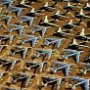 The 309th Aerospace Maintenance and Regeneration Group (AMARG), often called The Boneyard is located near Davis Monthan Air Force Base in Tucson, Arizona. It's huge!