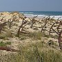 Among the dunes of Tavira island, in Portugal, there’s an impressive anchor graveyard called the Cemitério das Âncoras. It was built in remembrence of the glorious tradition of tuna fishing.